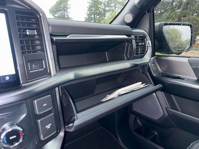 New 2026 Carbonized Gray Metallic Ford Platinum® image 102