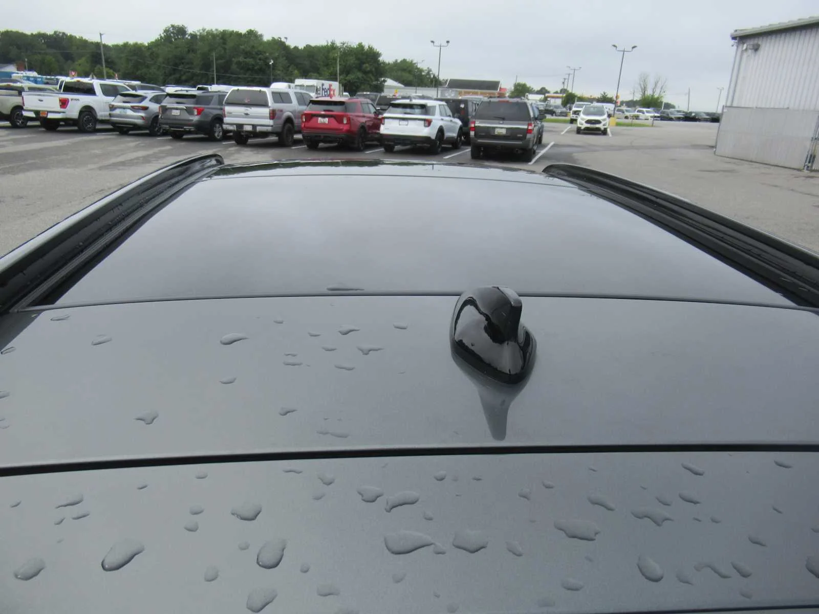 Used 2024 Amazon Gray Hyundai SEL Convenience image 18