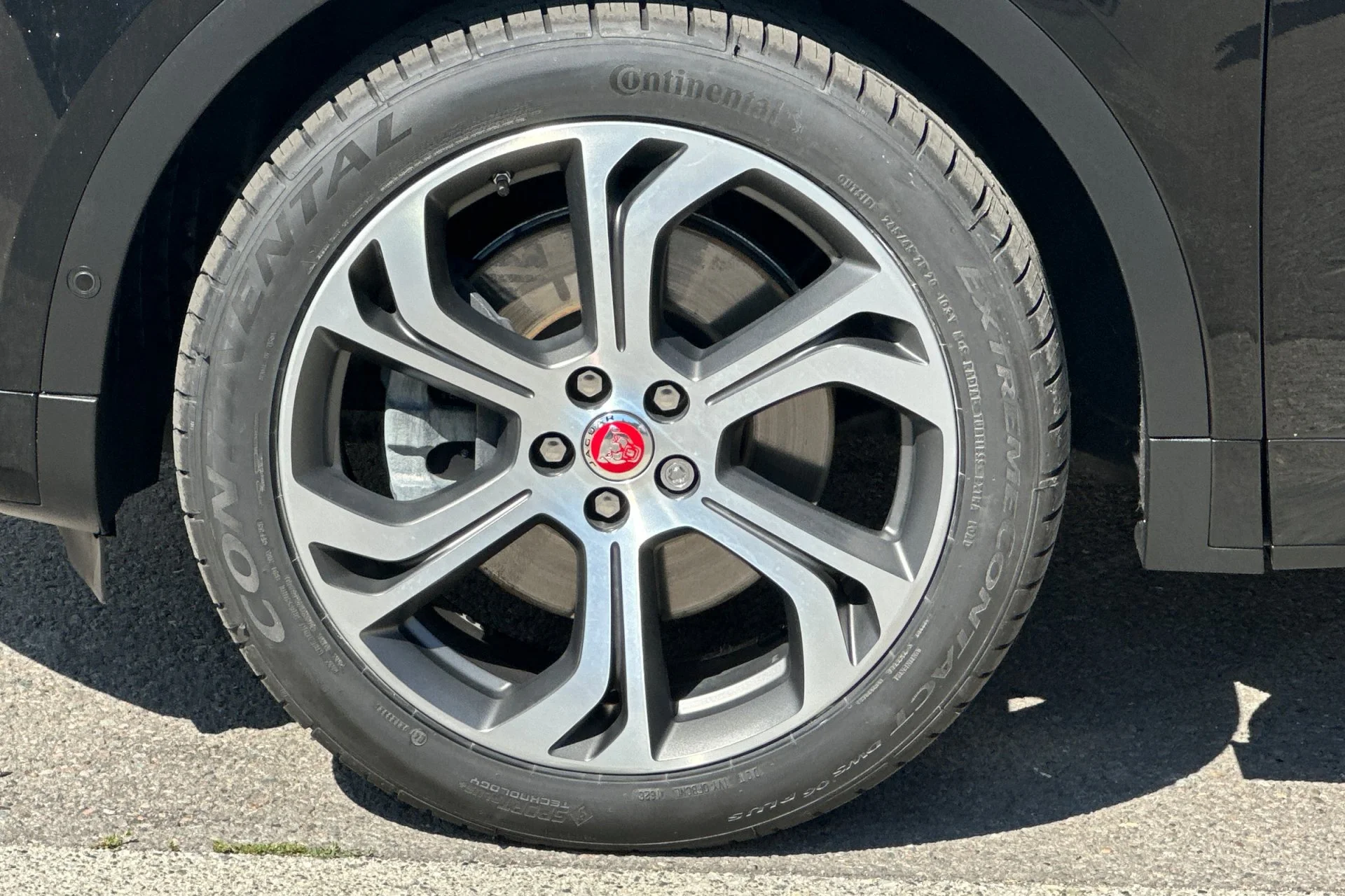 Used 2018 Black Jaguar First Edition image 11
