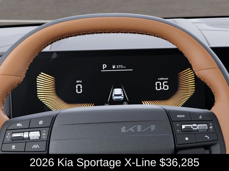 New 2026 Panthera Metal Gray Kia X-Line image 21