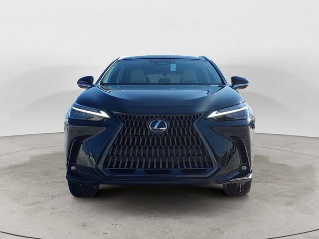 2026 Lexus NX 450h+ Luxury - Photo 8