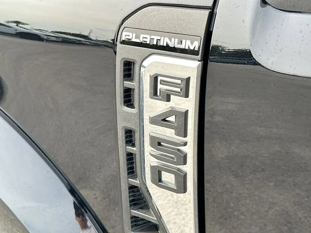 New 2026 Black Ford Platinum image 19