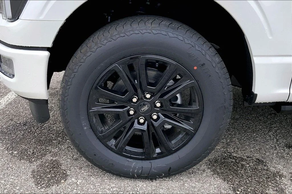 New 2026 White Ford Platinum image 12