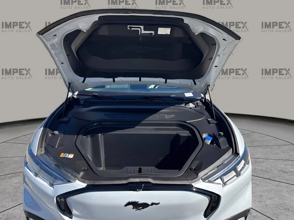 Used 2022 White Ford Premium image 31