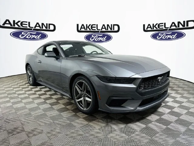 New 2026 Gray Ford EcoBoost image 1