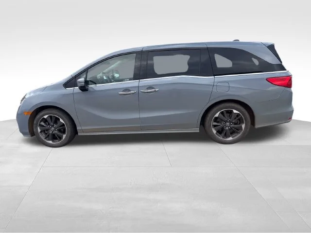 Used 2024 Gray Honda Elite image 2