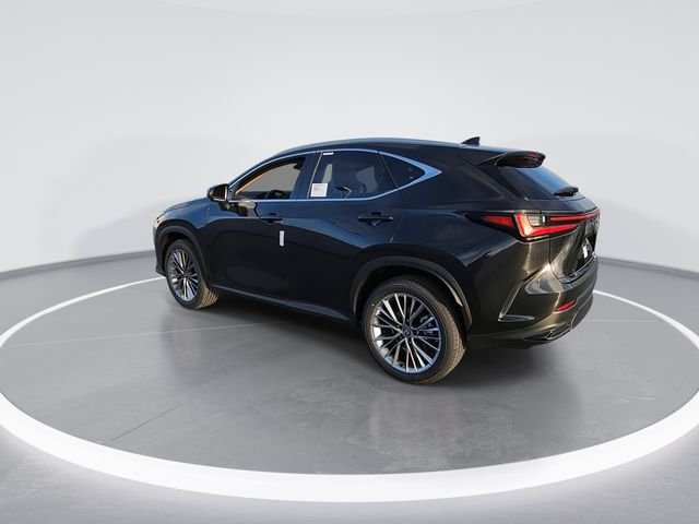 2026 Lexus NX 350 Luxury - Photo 6