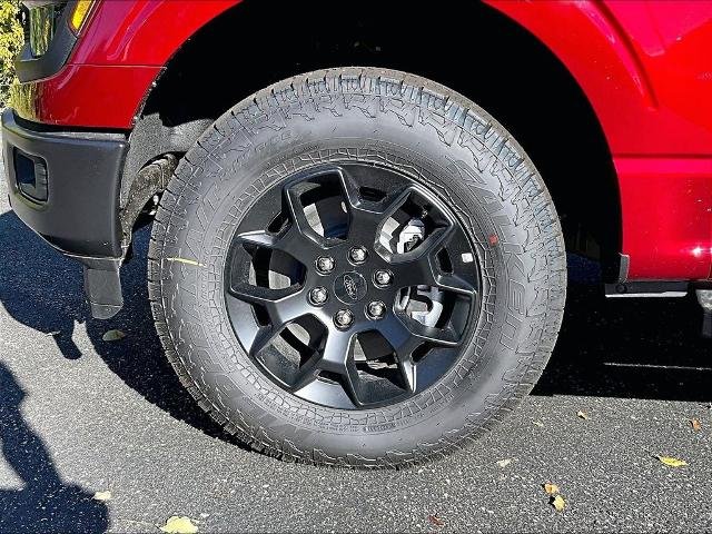 New 2026 Ruby Red Metallic Tinted Clearcoat Ford STX® image 13