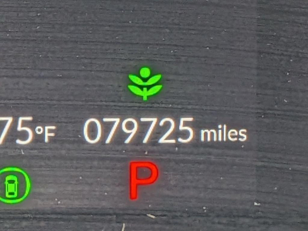 Used 2024 Black Honda LX image 19
