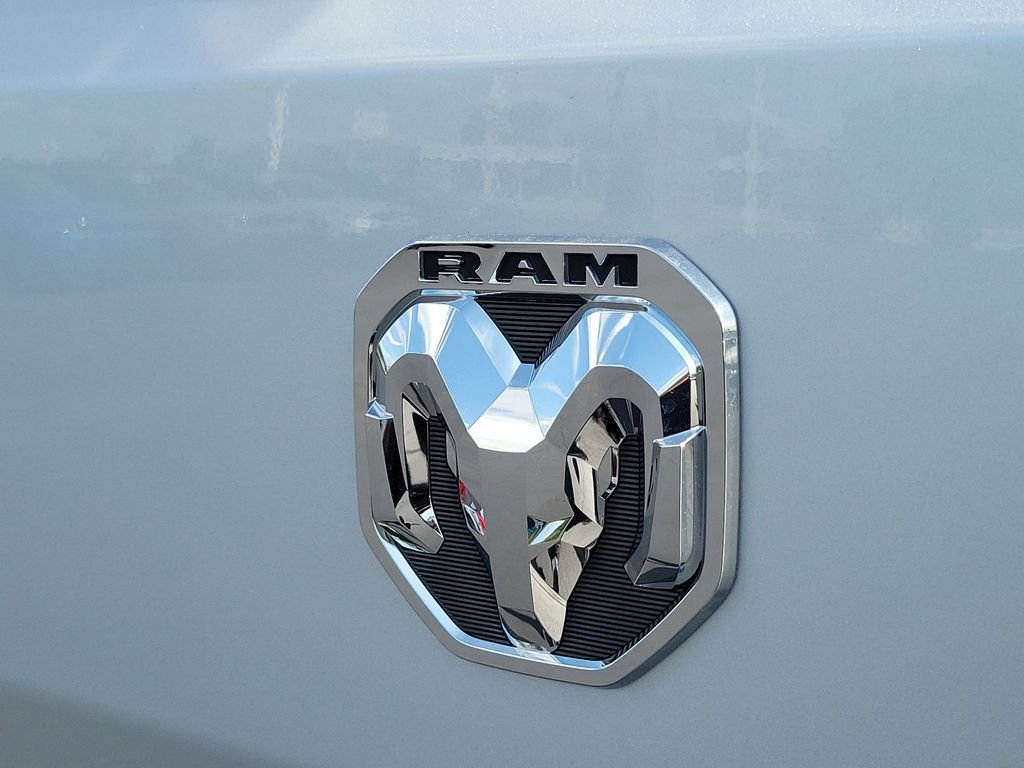 New 2026 Bright Silver Metallic Clear-Coat Exterior Paint RAM Low Roof image 6
