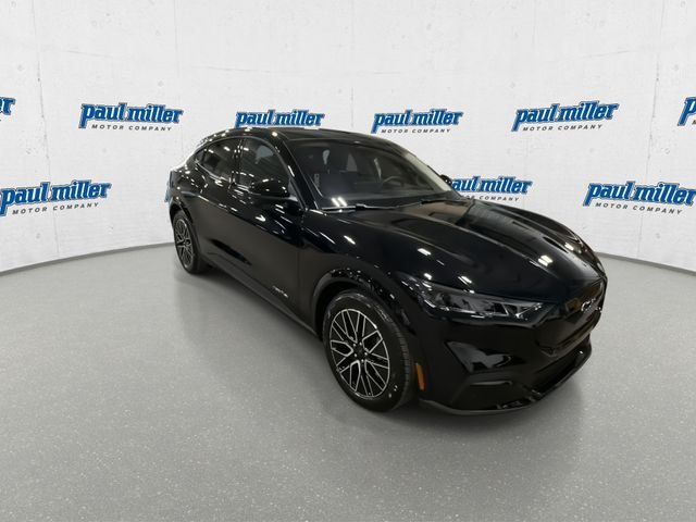 New 2026 Shadow Black Ford Premium image 3
