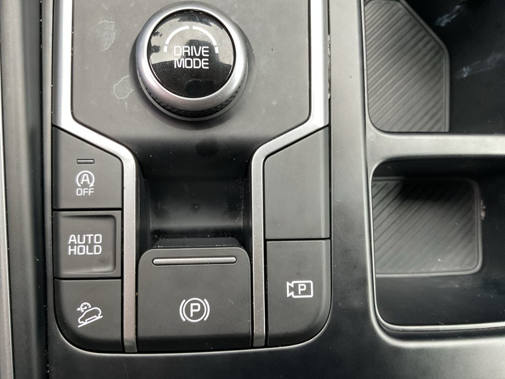 Used 2025 Panthera Metal Kia LX image 29