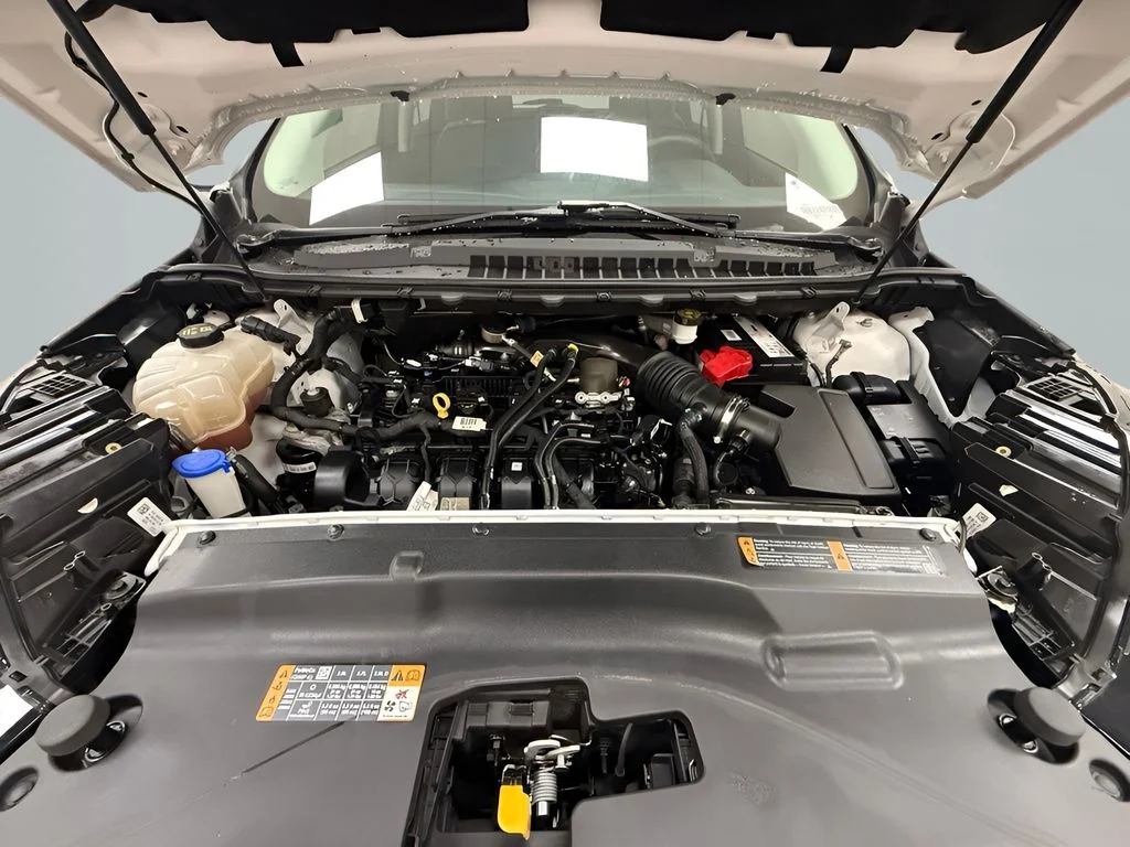 Used 2019 White Ford Titanium image 22