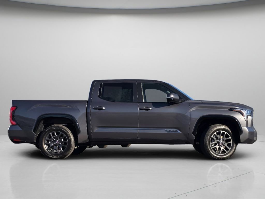 New 2026 Magnetic Gray Metallic Toyota Platinum image 30
