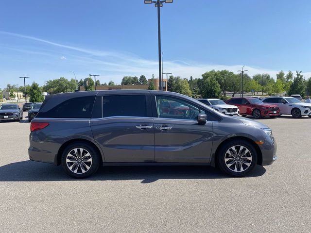 Used 2023 Gray Honda EX-L image 6
