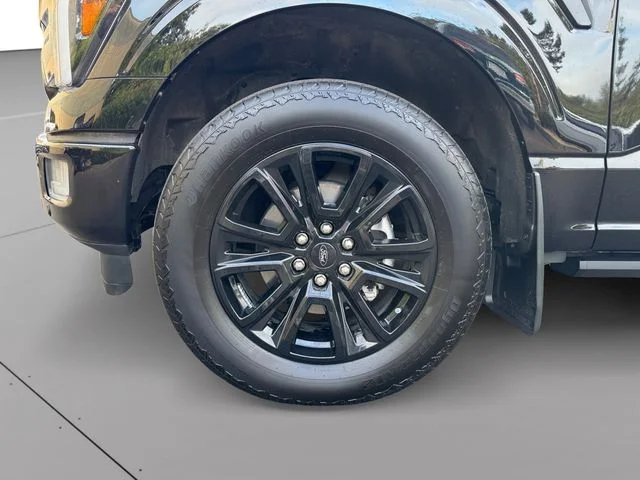 Certified Used 2025 Black Metallic Ford Platinum image 9