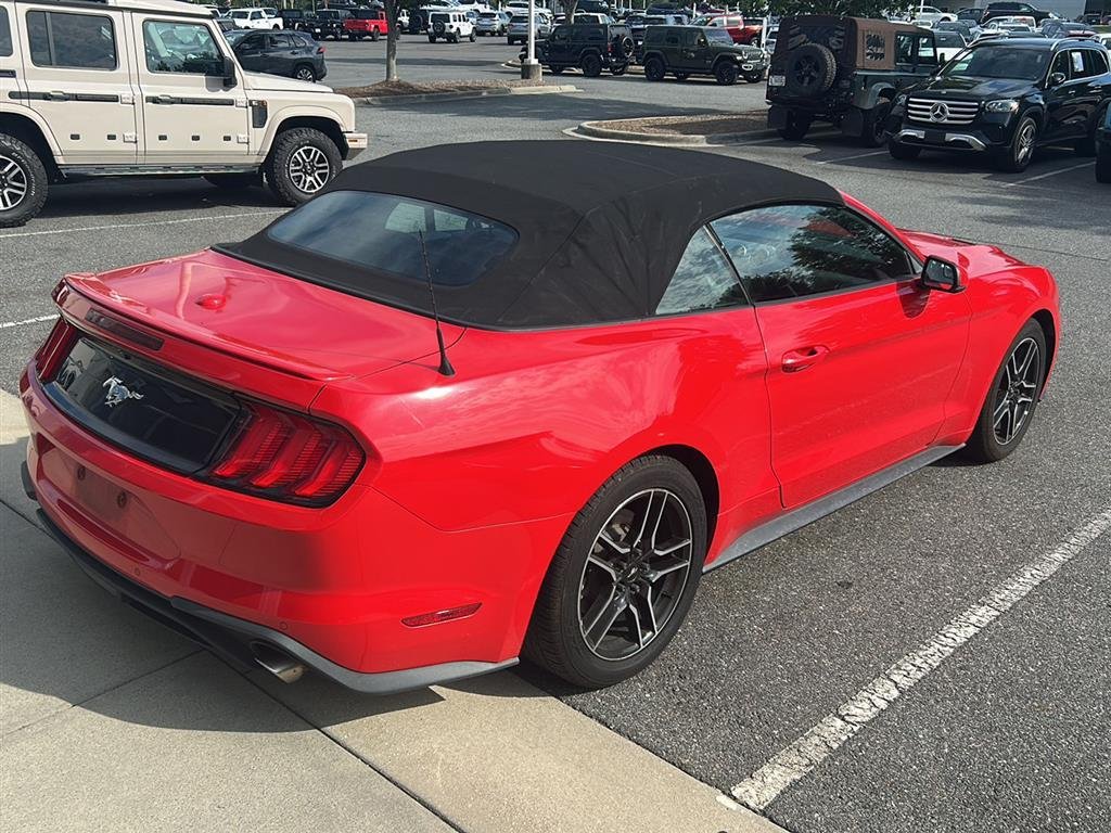 Used 2019 Race Red Ford EcoBoost Premium image 5