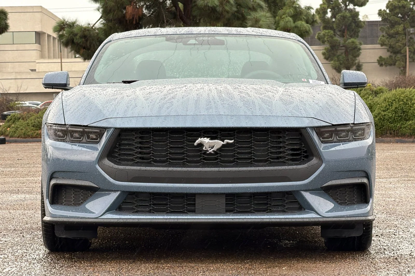 New 2026 Vapor Blue Metallic Ford EcoBoost® Fastback image 5