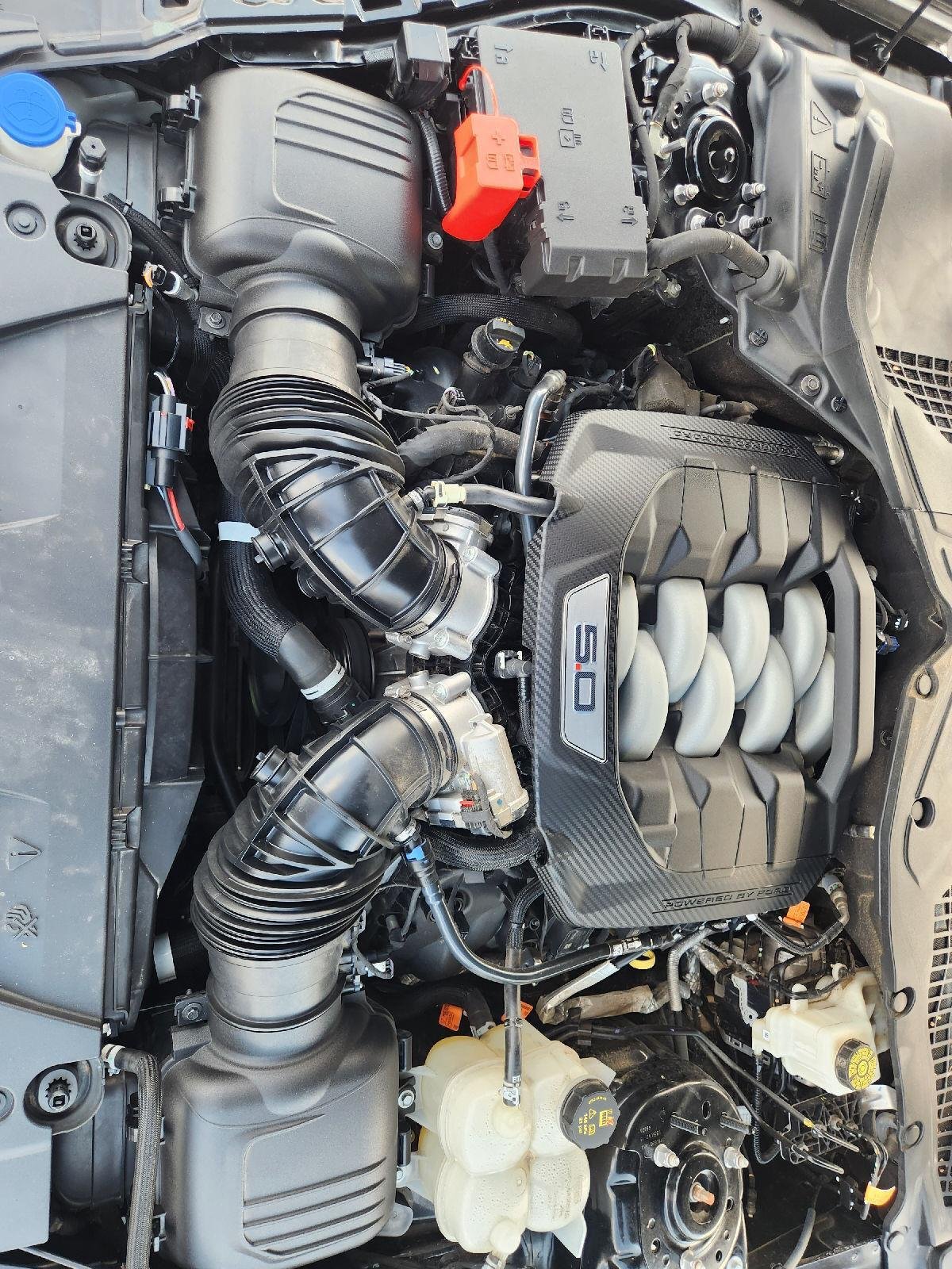 2024 Ford Mustang photo 32 of 33