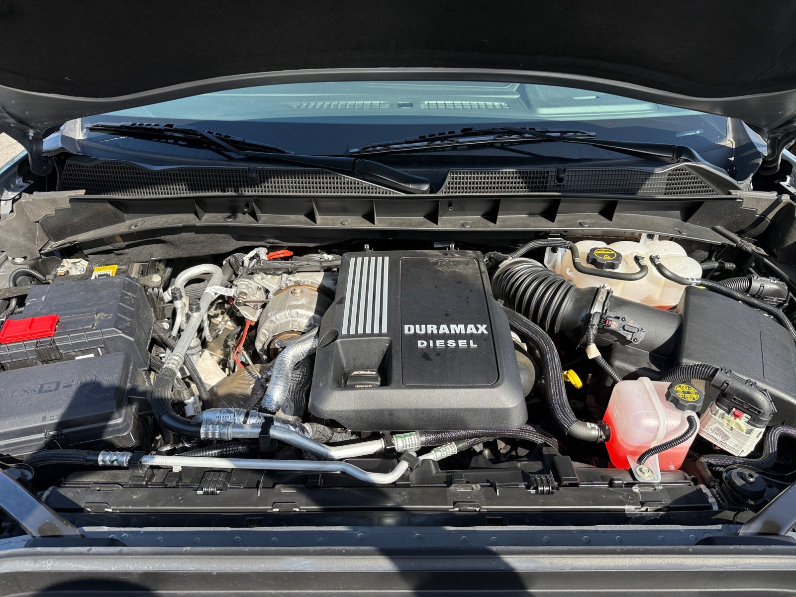 Used 2025 Sterling GMC Elevation image 20