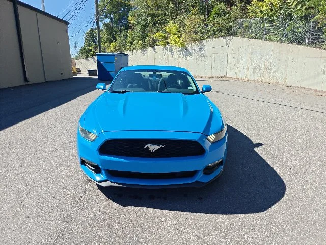 Used 2017 Blue Ford V6 image 7
