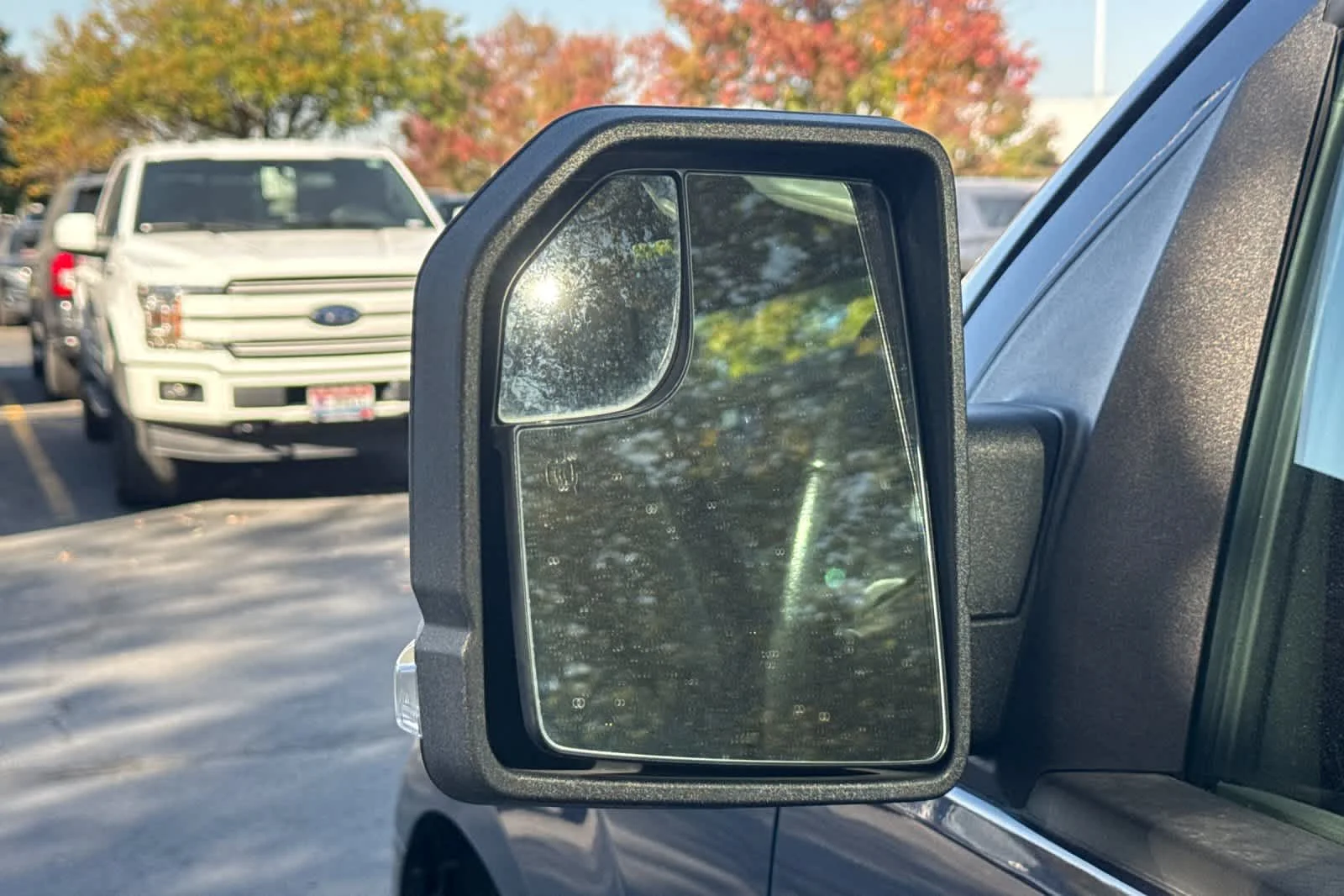 Used 2015 Blue Jeans Metallic Ford XLT image 7