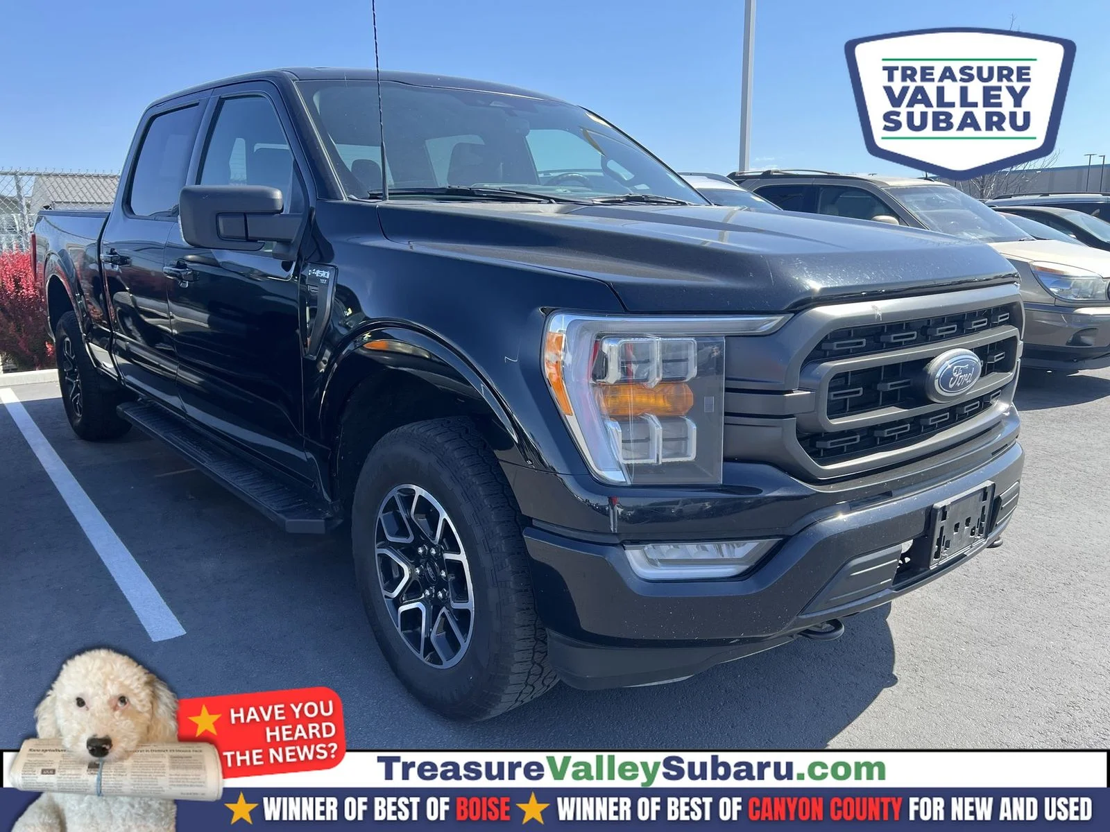 2023 Ford F-150 XLT 4x4 SuperCrew 5-1/2 Box's photo
