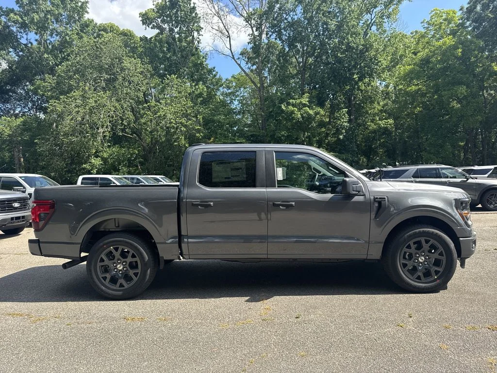 New 2026 Gray Ford STX image 7
