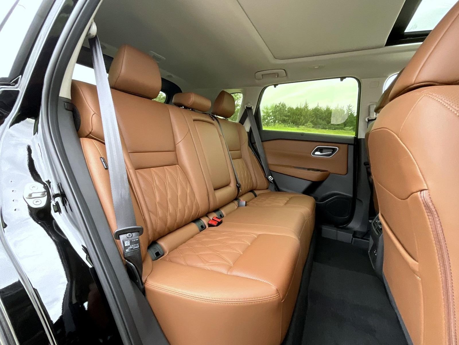 New 2026 Black Nissan Platinum image 20