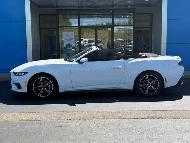 2024 Ford Mustang EcoBoost Convertible's photo