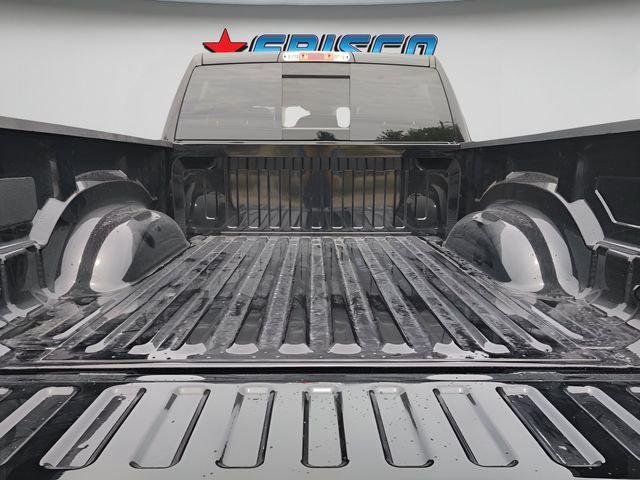 New 2026 Diamond Black Crystal Pearl-Coat Exterior Paint RAM Express image 30