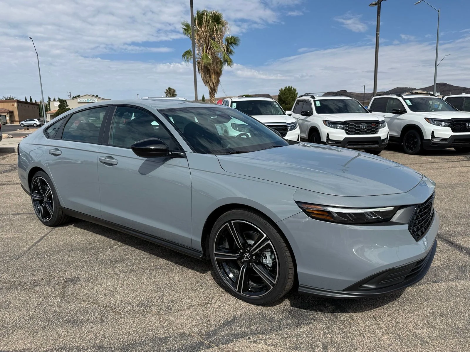 New 2026 Gray Honda Sport image 3