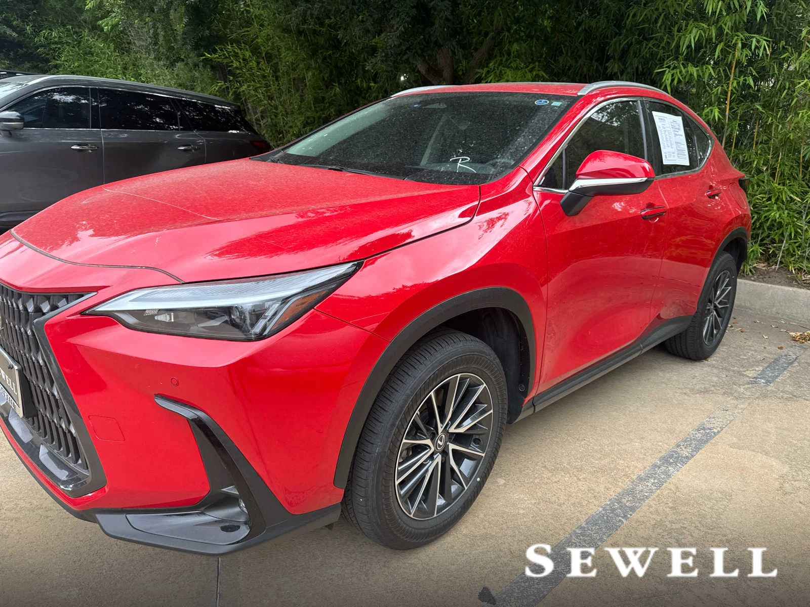 2025 Lexus NX 350's photo