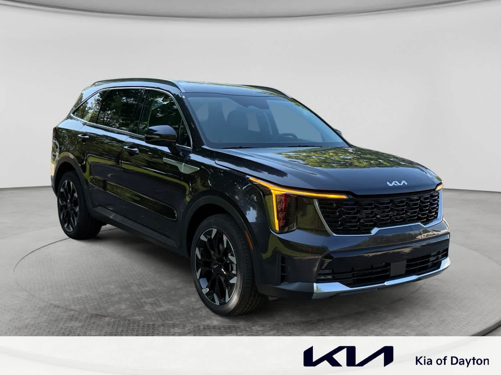 New 2026 Panthera Metal Kia EX image 3