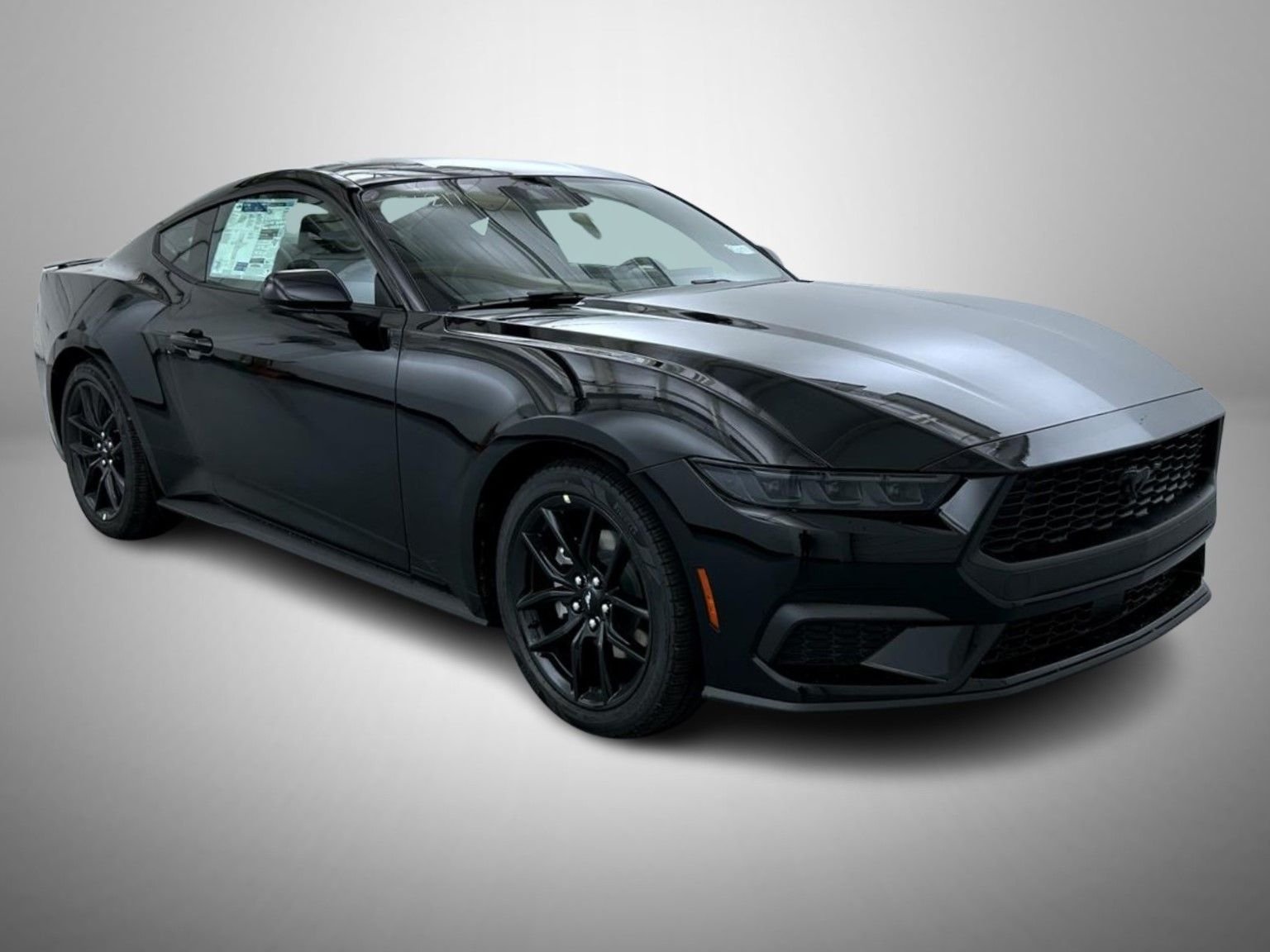 New 2026 Shadow Black Ford EcoBoost image 3