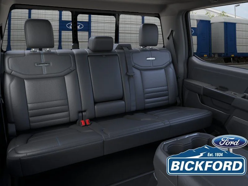 New 2026 Black Ford Platinum image 11