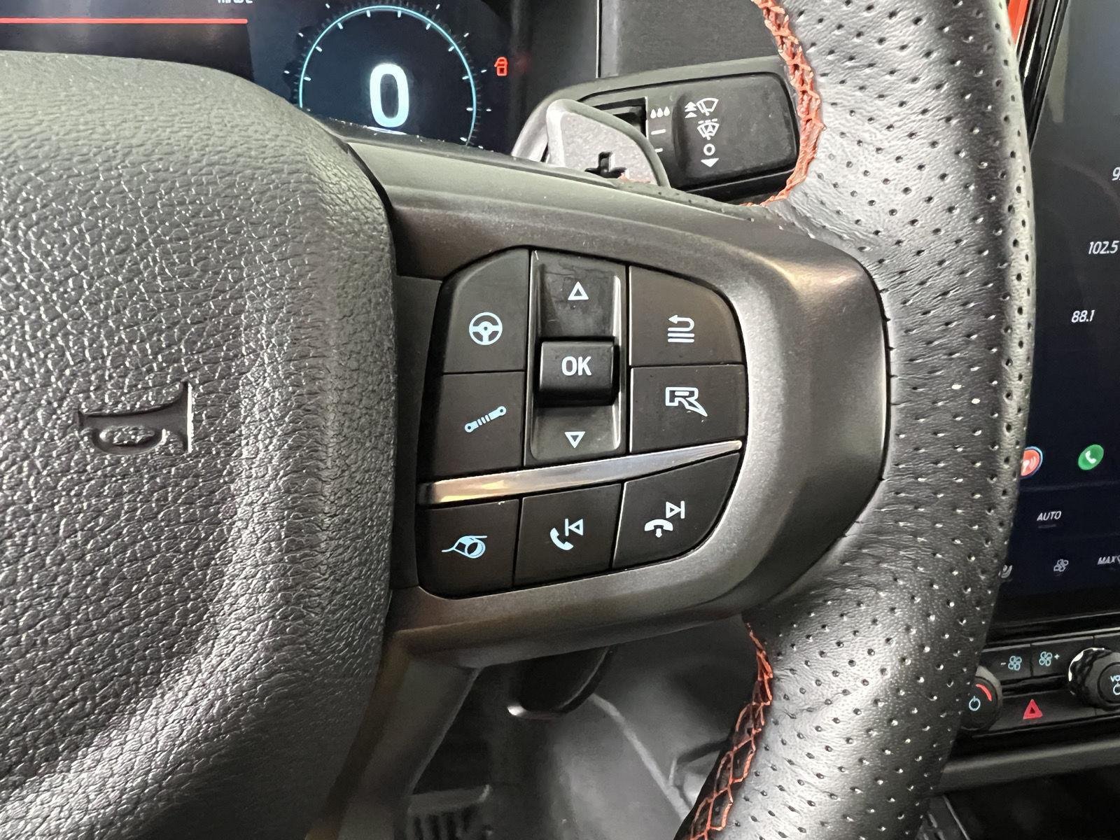 Used 2025 Marsh Gray Ford Raptor image 15