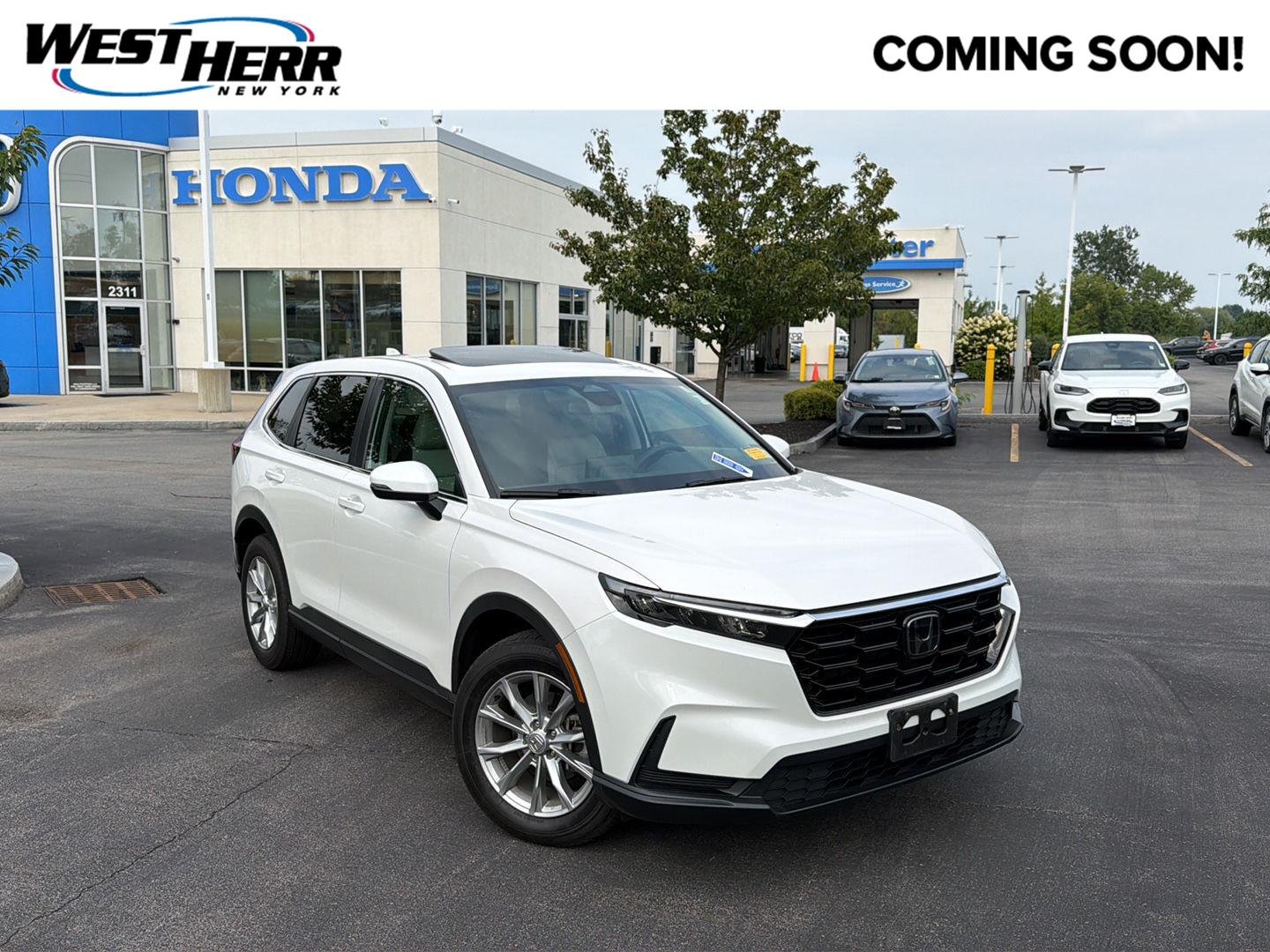 Used 2024 Platinum White Pearl Honda EX image 1