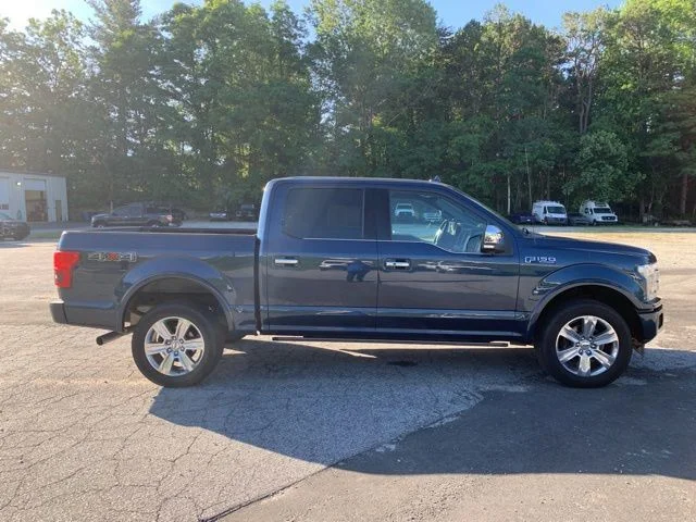 Used 2019 Blue Jeans Metallic Ford Platinum image 10