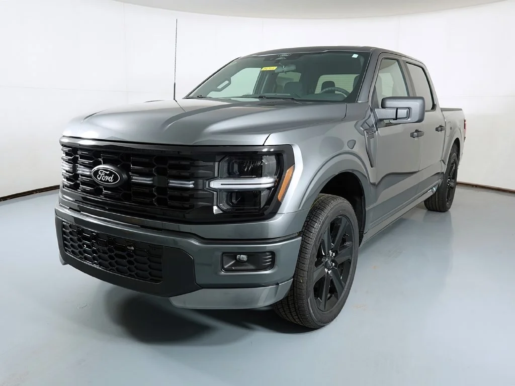 New 2026 Gray Ford STX image 4
