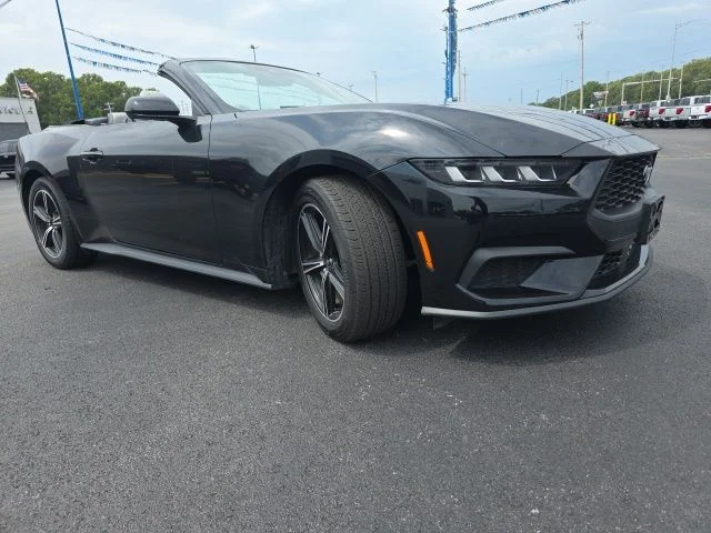 Used 2024 Shadow Black Ford EcoBoost Premium image 3