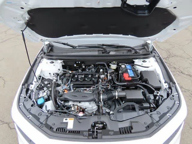 New 2026 Platinum White Pearl Honda SE image 9