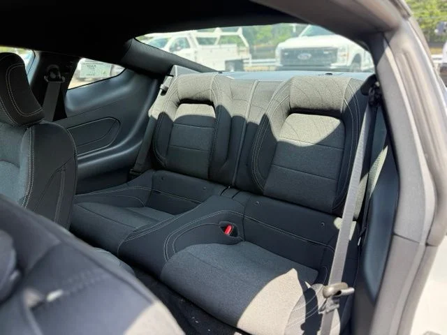 New 2026 Avalanche Gray Ford EcoBoost® Fastback image 23