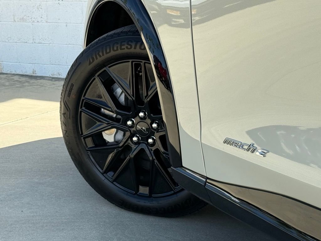 New 2026 Desert Sand Ford Premium image 14
