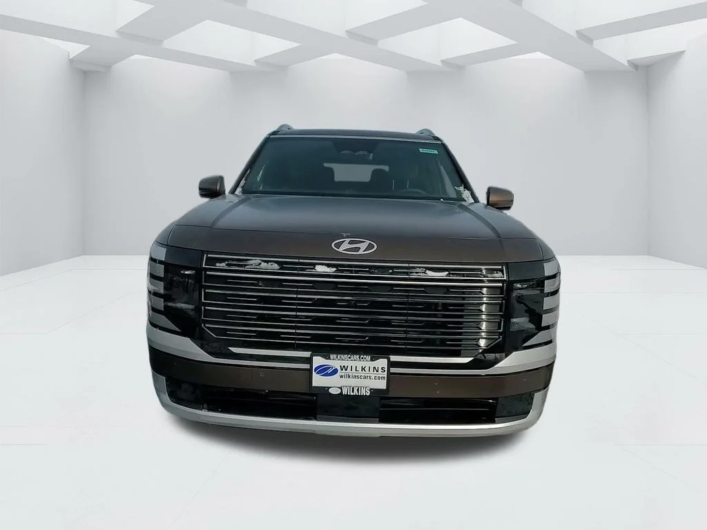 New 2026 Earthy Brass Matte Hyundai Calligraphy image 10