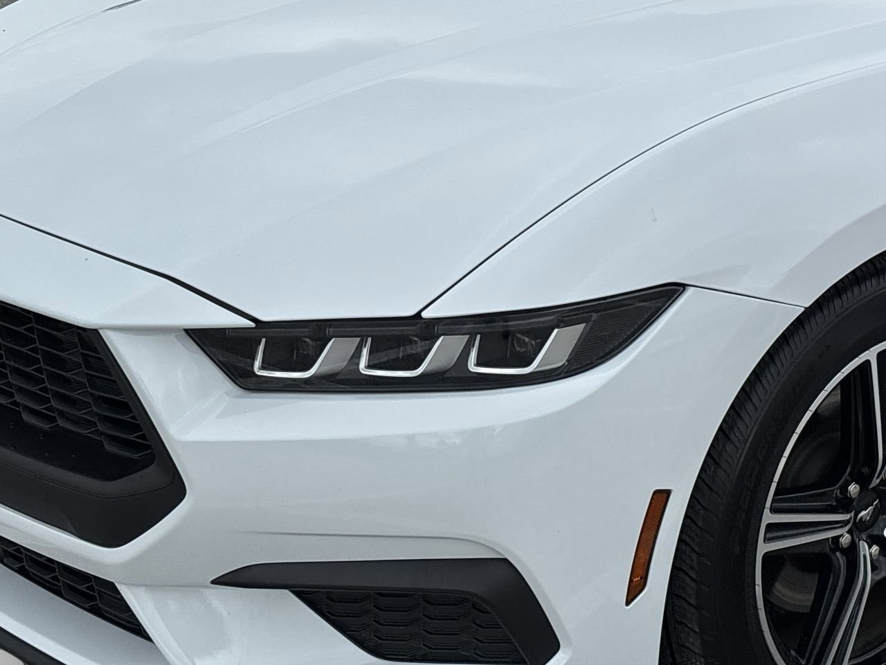 Used 2024 Oxford White Ford EcoBoost image 6