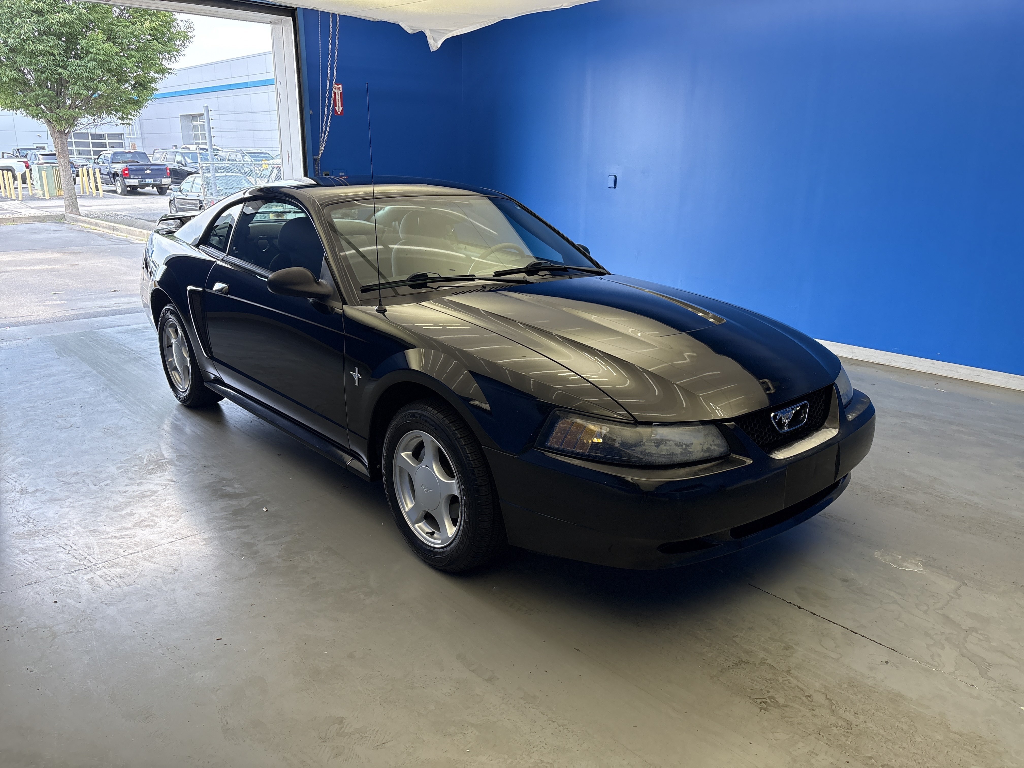 Used 2003 Black Ford Standard image 2
