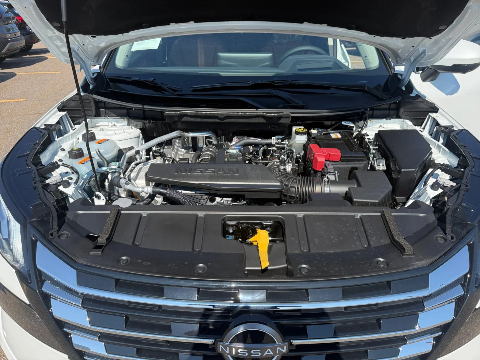 New 2026 Everest White Pearl Tricoat Nissan Platinum image 6