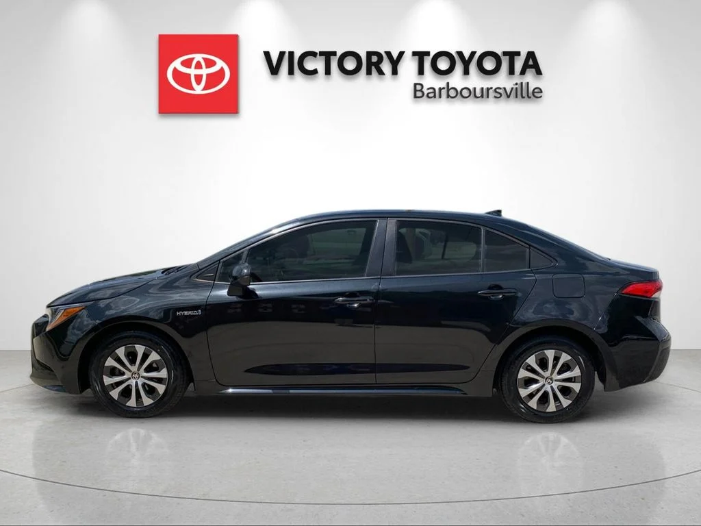 Used 2021 Black Toyota LE image 2