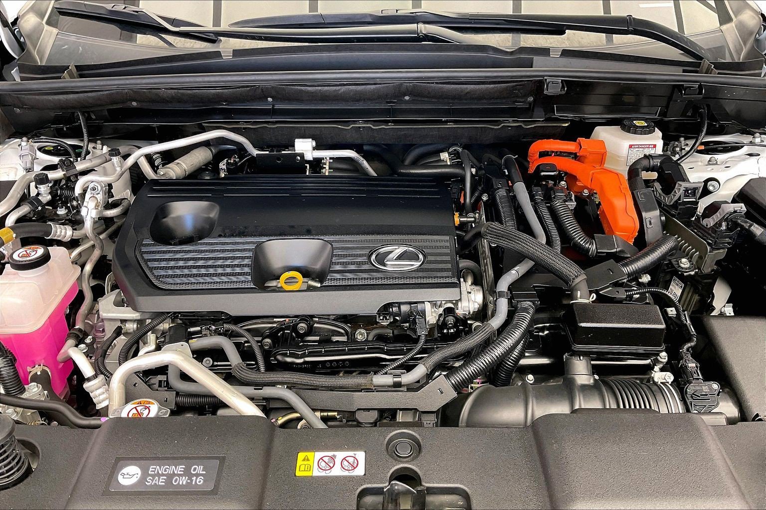 2024 Lexus NX 450h+ Luxury photo 6